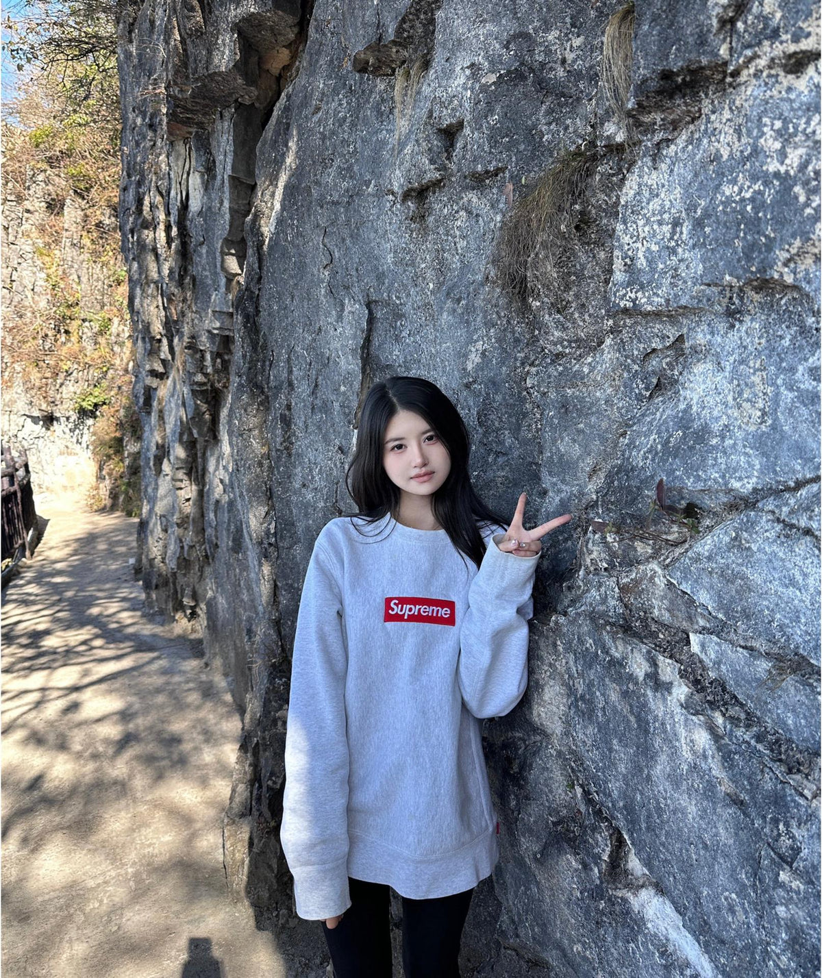 Supreme 18FW Box Logo Crewneck
