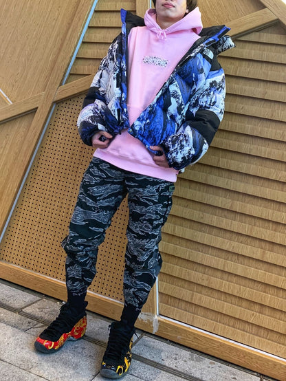 Supreme 19FW Bandana Box Logo Hooded Sweatshirt